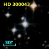 HD 300043