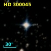 HD 300045