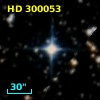 HD 300053