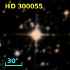 HD 300055