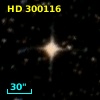 HD 300116