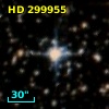 HD 299955