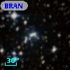 BRAN 262