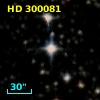 HD 300081