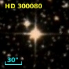 HD 300080