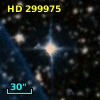 HD 299975