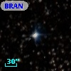 BRAN 239