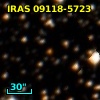 IRAS 09118-5723