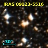 IRAS 09123-5516