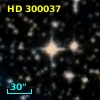 HD 300037
