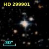 HD 299901