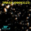 2MASX J09093123-5543534