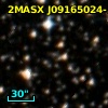 2MASX J09165024-5545328