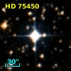 HD  75450