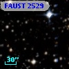 FAUST 2529