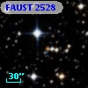 FAUST 2528