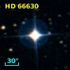 HD  66630