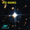 HD  66081