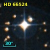 HD  66524