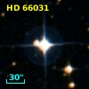 HD  66031
