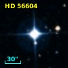 HD  56604
