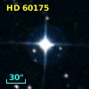 HD  60175