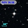 NSV  3616