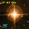 V* AY Dor