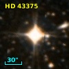 HD  43375