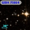 LEDA   75664