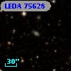 LEDA   75628