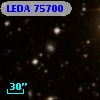 LEDA   75700