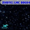 [FHW95] LMC B0604-6604
