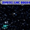 [FHW95] LMC B0604-6650