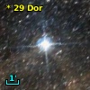 *  29 Dor