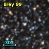 Brey  99