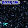 [BCC85] 250