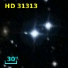 HD  31313