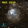 NGC  2030