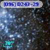 [O96] D243-29