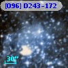 [O96] D243-172