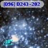 [O96] D243-202