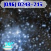 [O96] D243-215