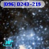 [O96] D243-218