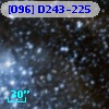 [O96] D243-225