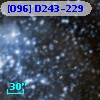 [O96] D243-229