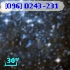 [O96] D243-231