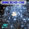 [O96] D243-236