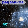 [O96] D243-239