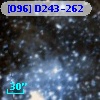[O96] D243-262